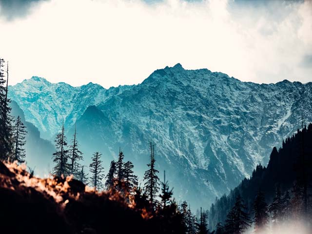Tour Planner  in Katra